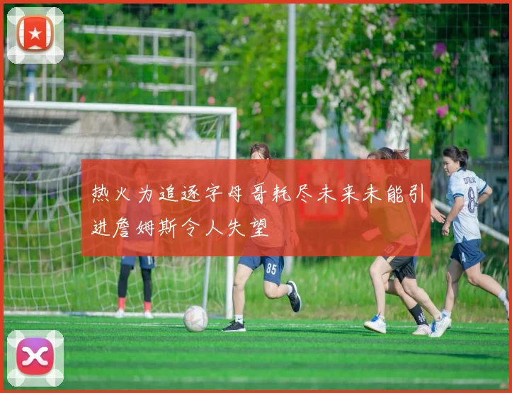 热火为追逐字母哥耗尽未来未能引进詹姆斯令人失望