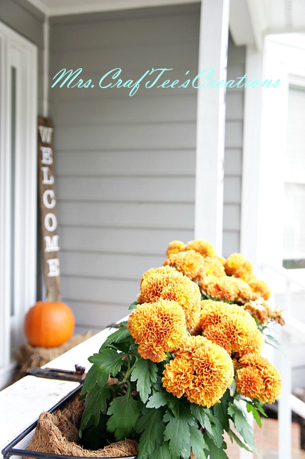 Fall Porch Flowers